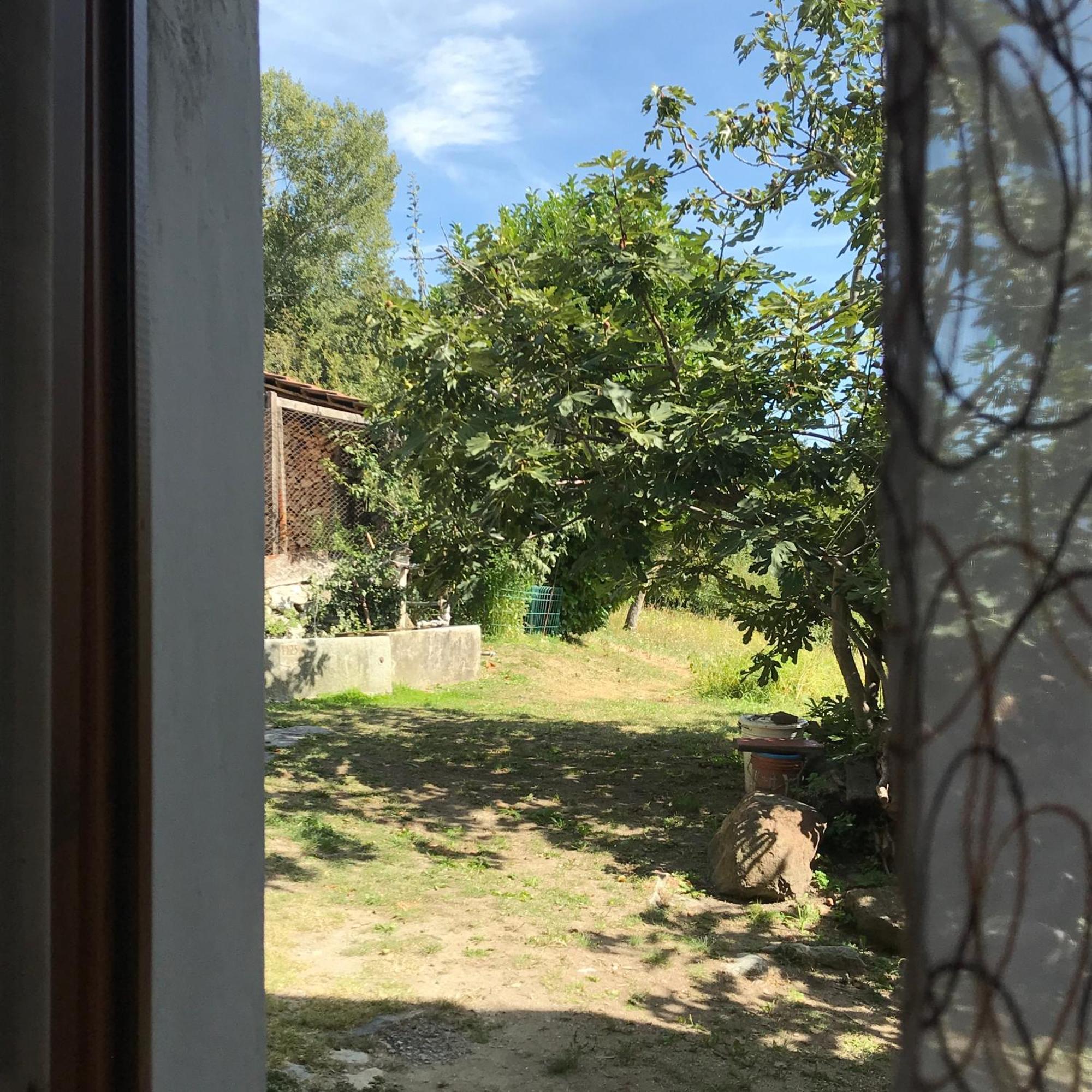 Palu Vacanze: L'Intimita Аоста Стая снимка